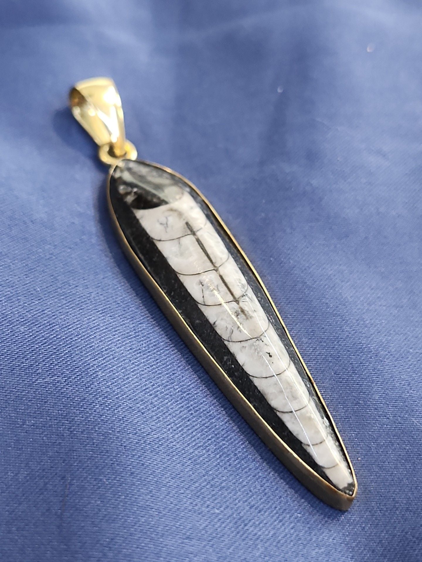 Charles Albert Orthoceras Fossil Pendant Gold Tone 3