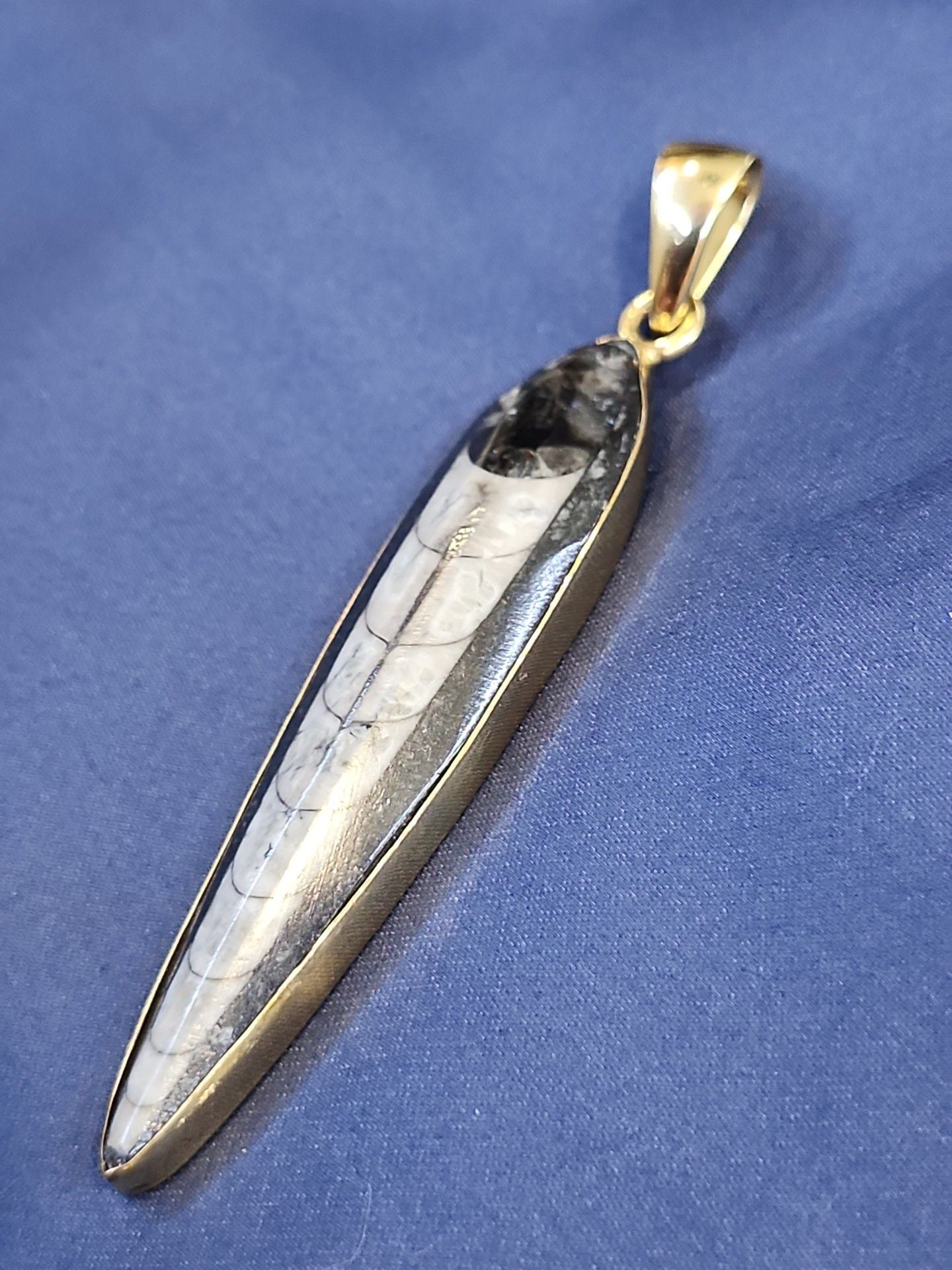 Charles Albert Orthoceras Fossil Pendant Gold Tone 4