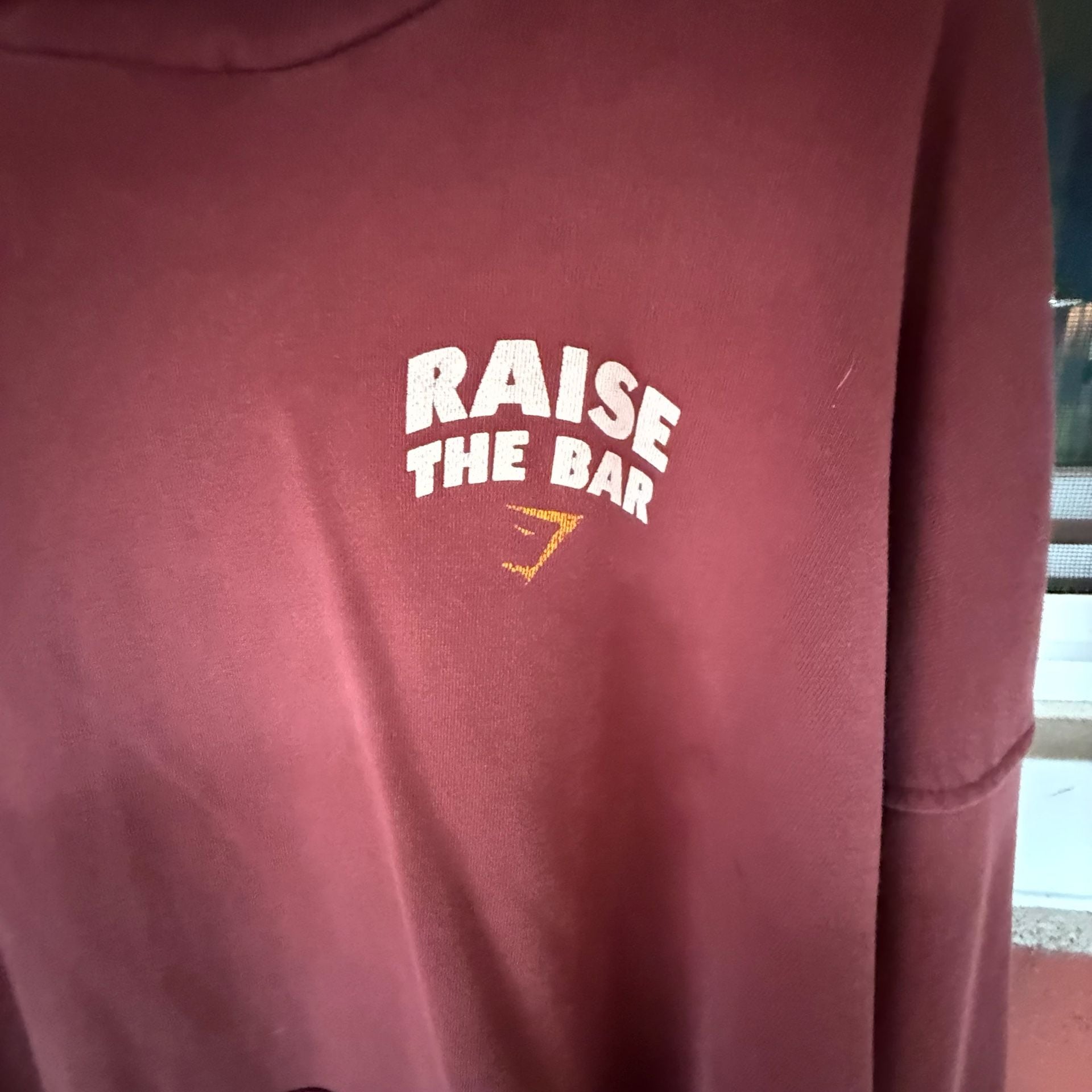 Gymshark Raise The Bar Hoodie Size L Burgundy Brown 3