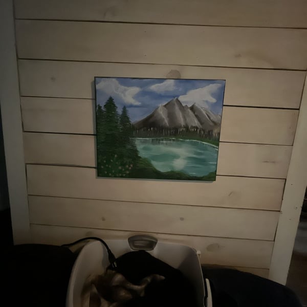Original Handmade Landscape Oil Painting Mountain Lake Forest