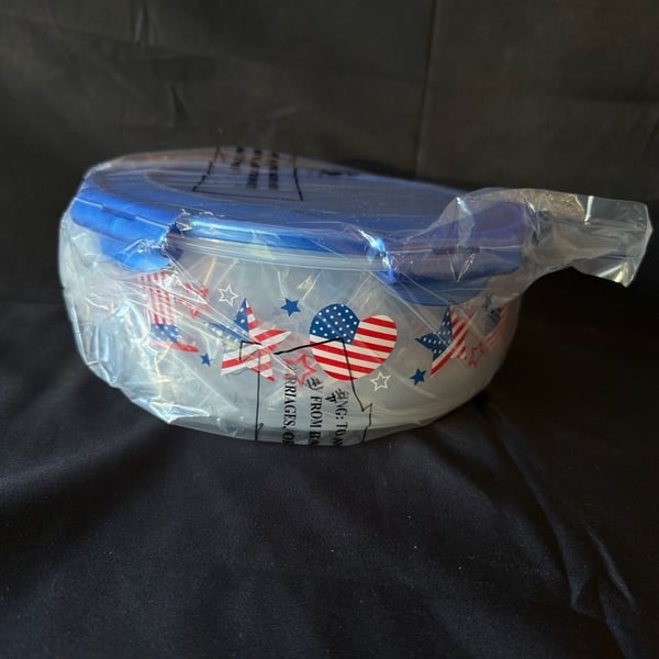 LocknLock Patriotic American Flag Star Heart Container Bowl Set (3 piece) 