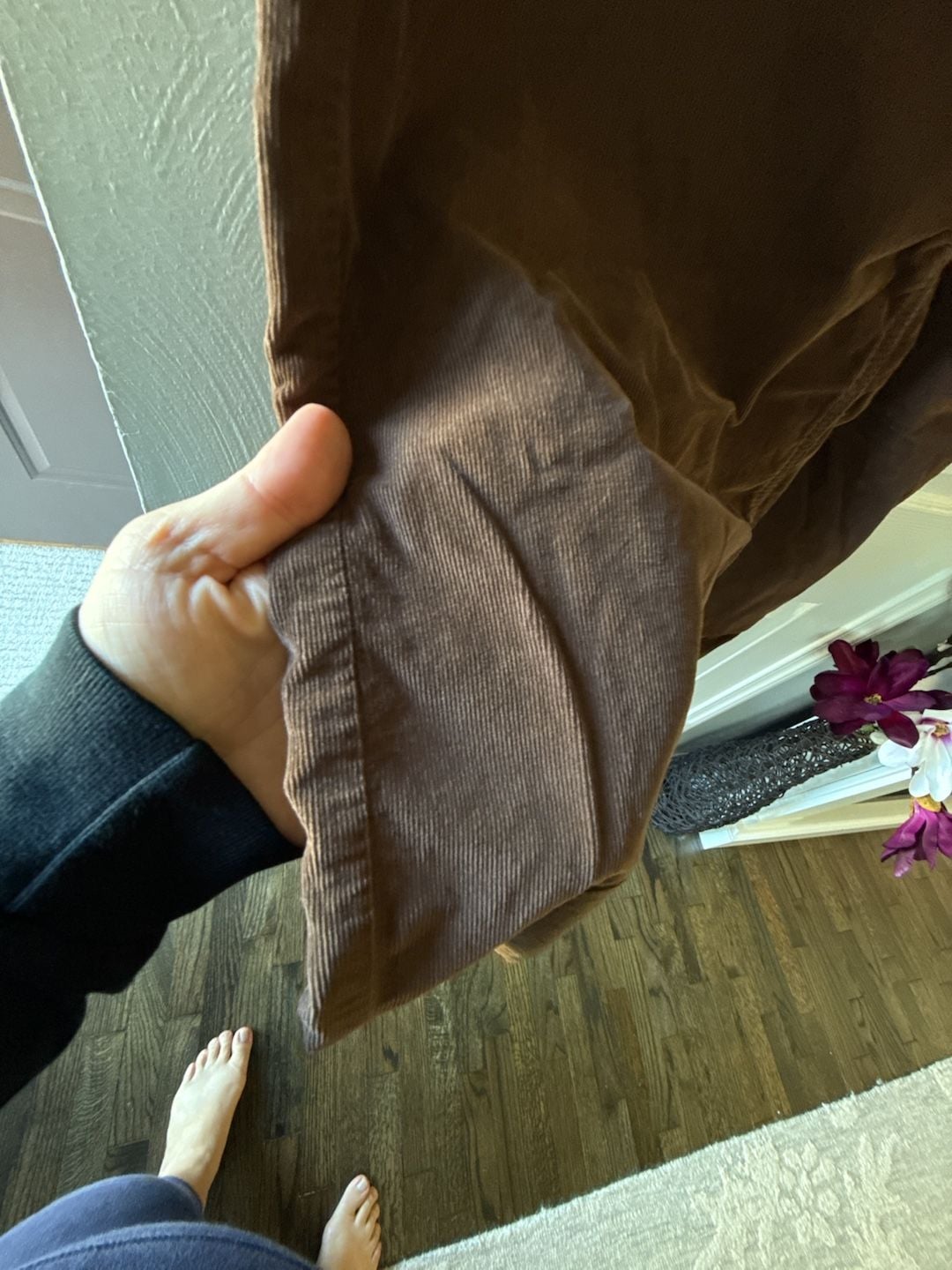 American Eagle Corduroy Pants Brown 4