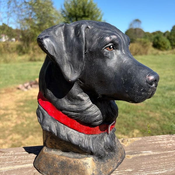 Pink Zebra Labrador Dog Bust Figurine Sculpture Black Red Collar