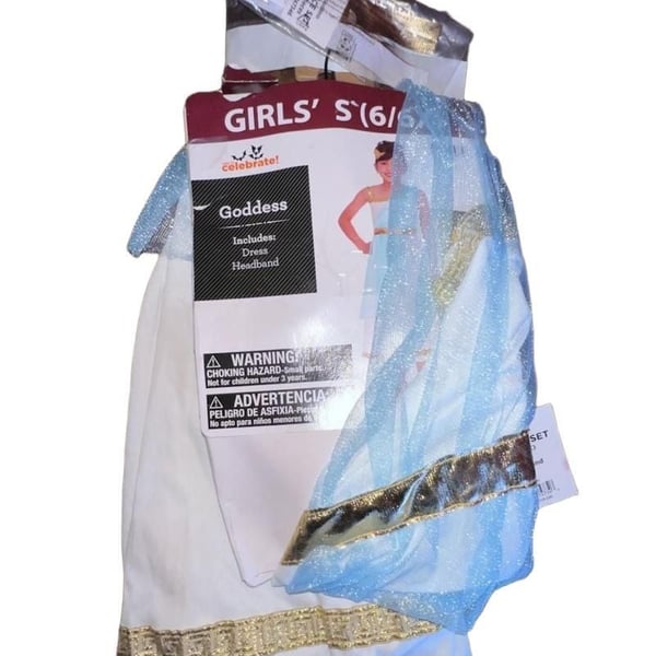Way To Celebrate Goddess Costume Size S 6 6x
