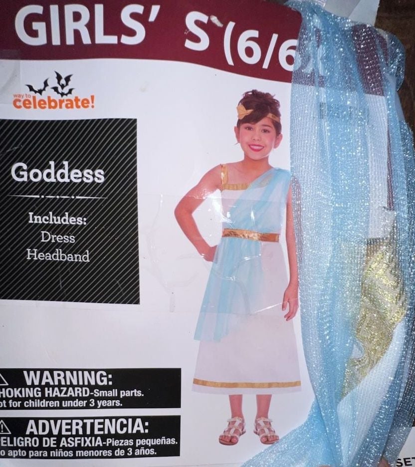 Way To Celebrate Goddess Costume Size S 6 6x 2