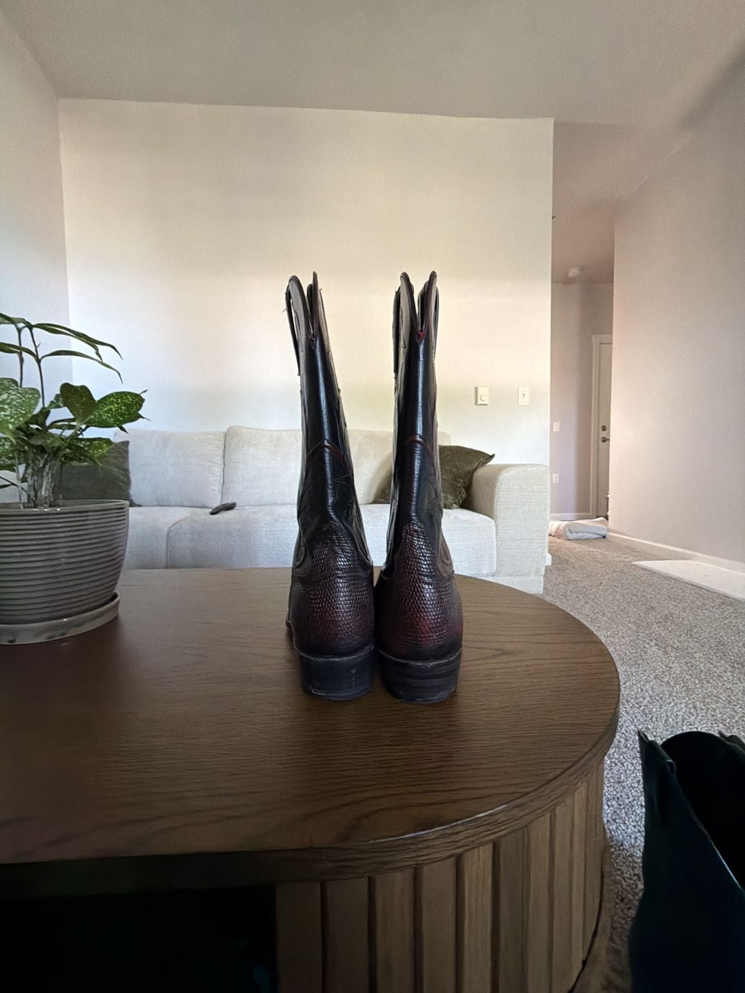 Lucchese Cowboy Boots Black Cherry Lizard 6