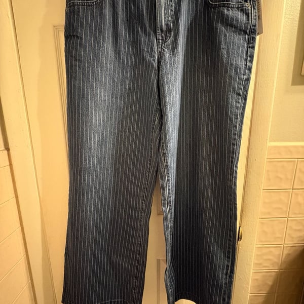 Pacsun Casey Low Rise Baggy Jeans Size 32 Blue Pinstripe