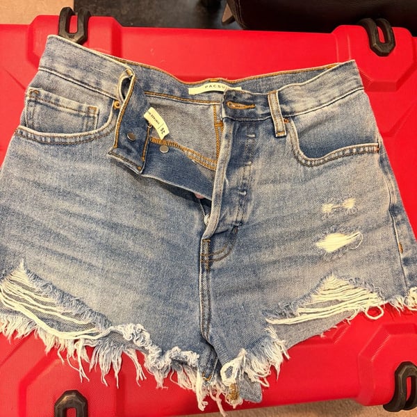 PacSun Vintage High Rise Denim Shorts Size 26 Distressed Light Wash