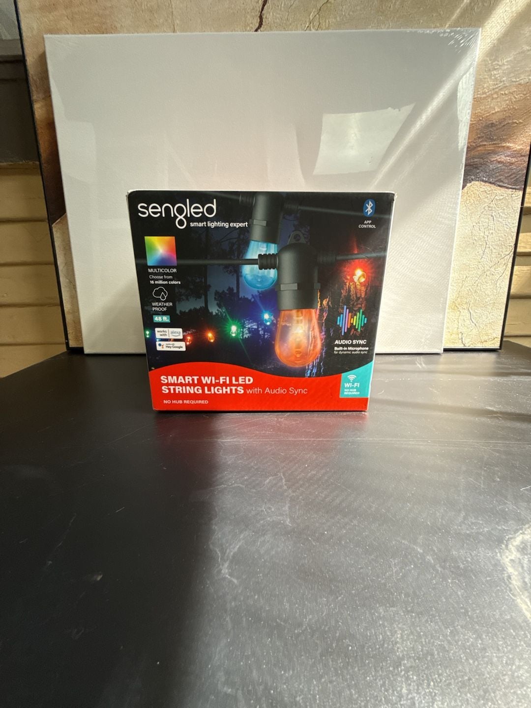 Sengled Smart Wi-Fi LED String Lights 48 ft. Multicolor 1