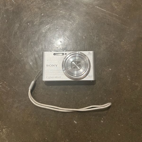 Sony Cyber-Shot DSC-W730 16.1MP Digital Camera Silver with Batteries