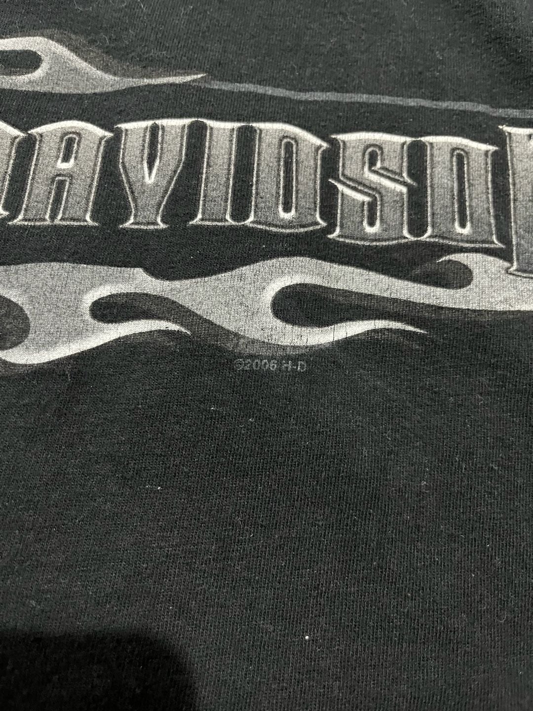 Crazy flame sleeve hit Harley Davidson Long Sleeve 11