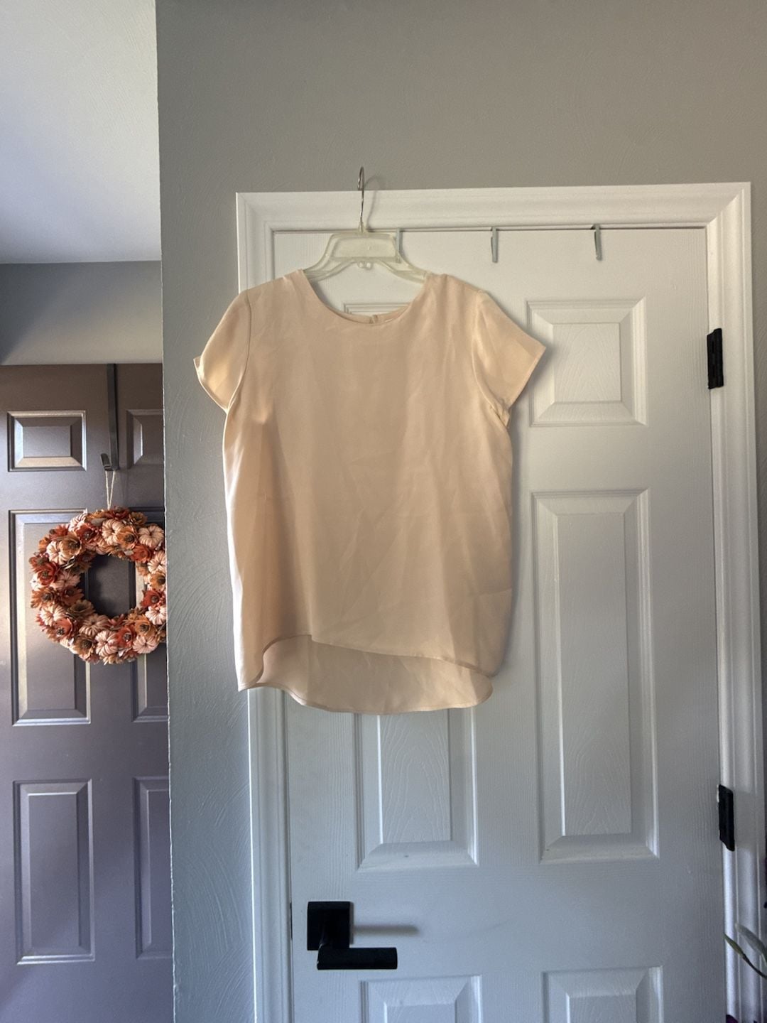 Cuyana Silk Blouse Size SM Blush Pink Short Sleeve Top 2