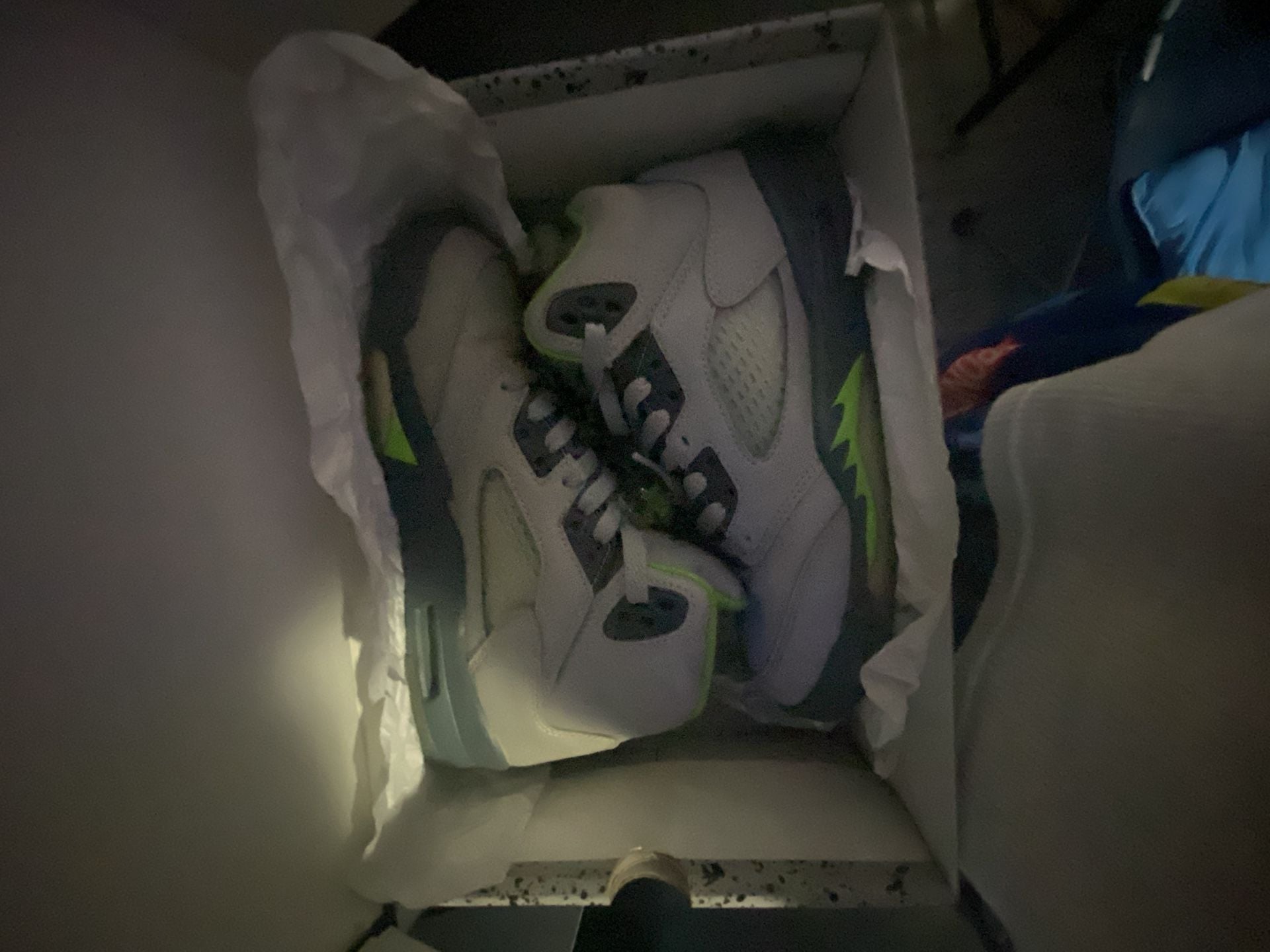 Nike Air Jordan 5 Retro Green Bean Silver Grey 3M 7
