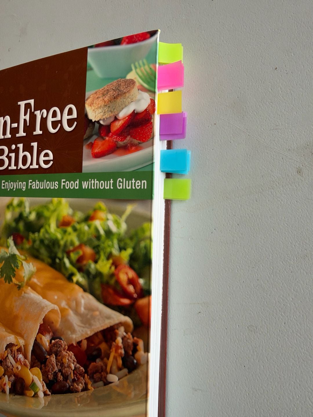 Publications International The Gluten-Free Bible Cookbook Paperback 2
