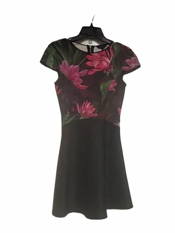 Ted Baker Carllie Floral Skater Dress Size 1 Pink Purple Green 4