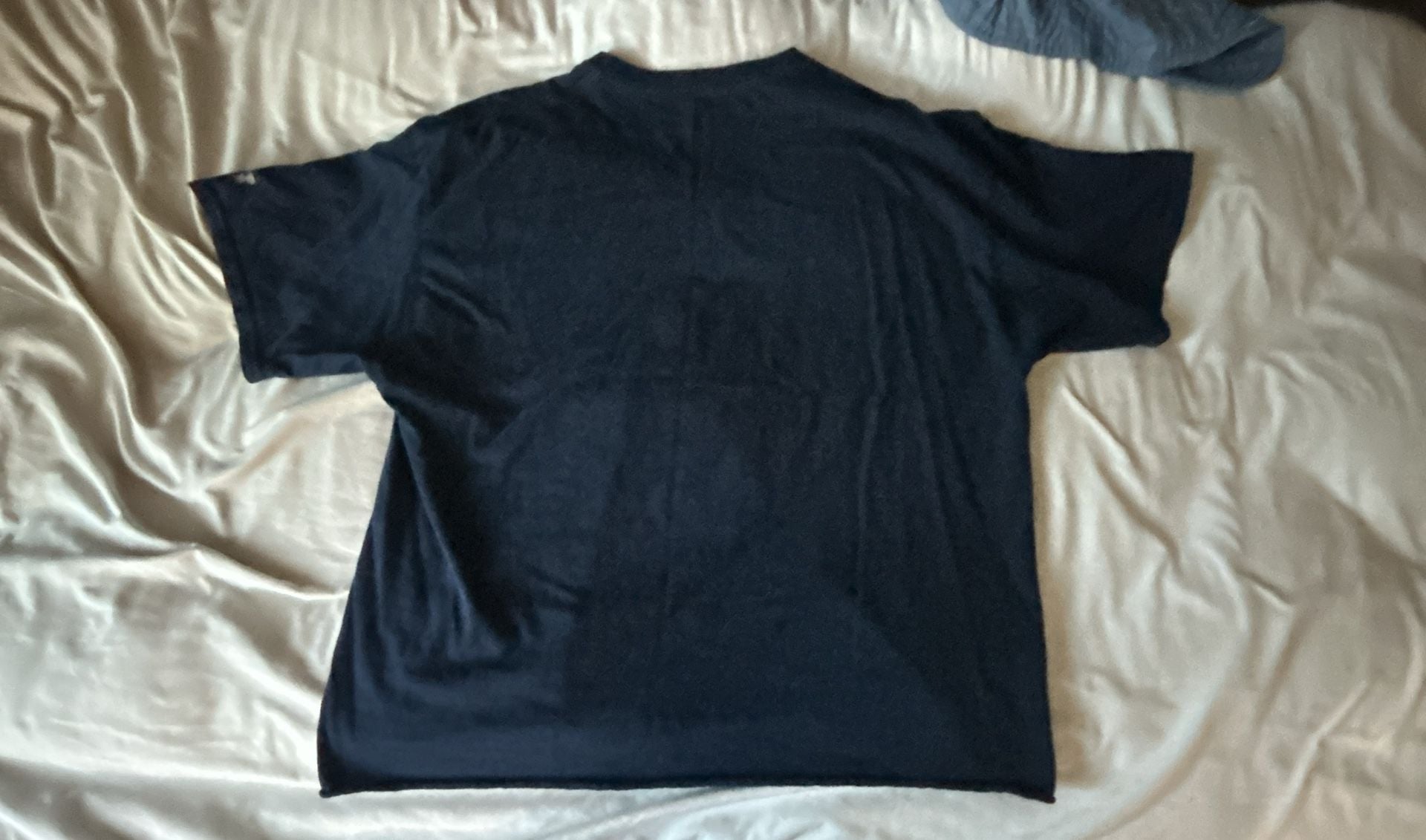 Champion Southern Connecticut State University T-Shirt Black Cropped 3