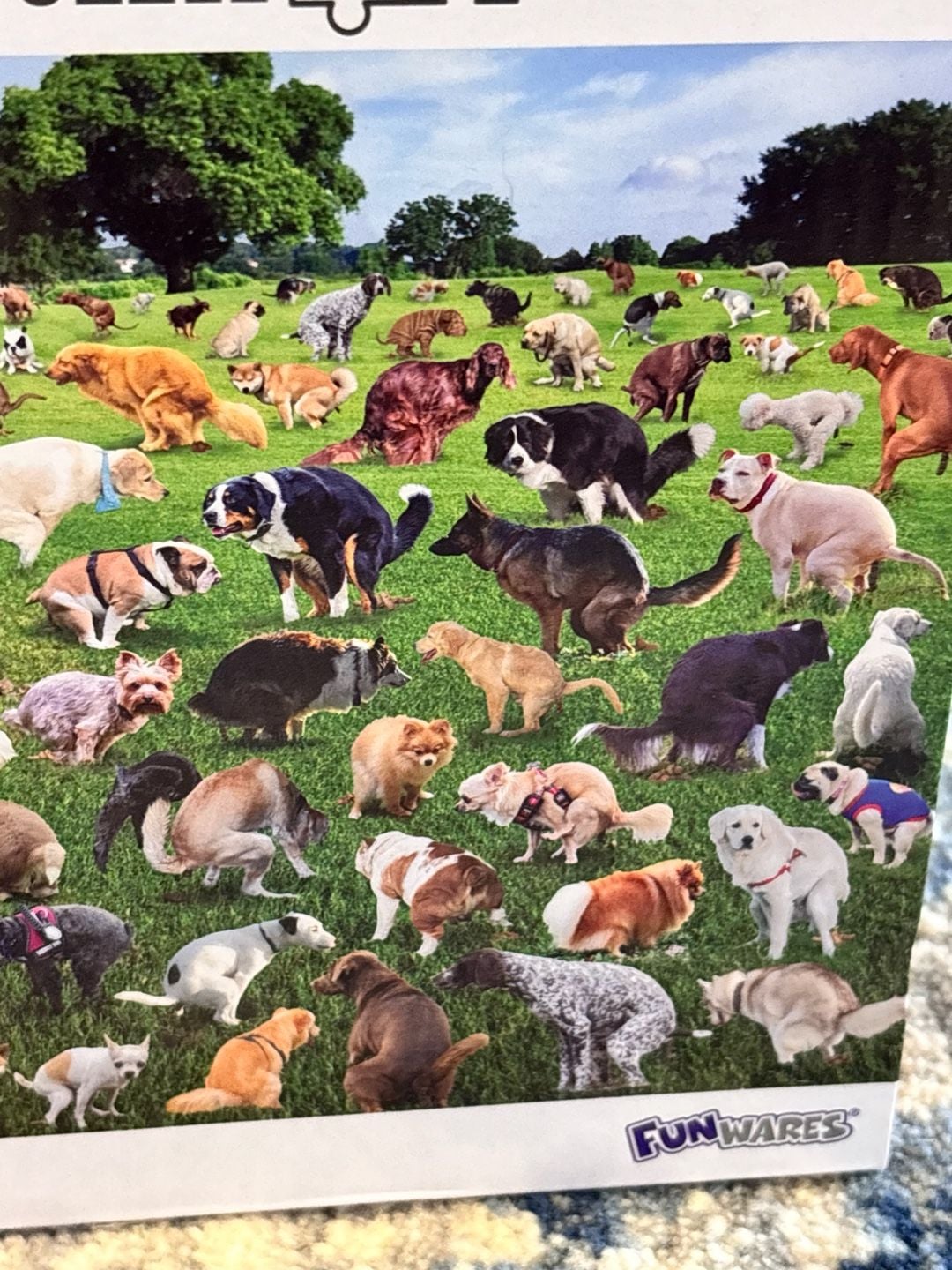 Funwares 101 Pooping Puppies 1000 Piece Jigsaw Puzzle 3