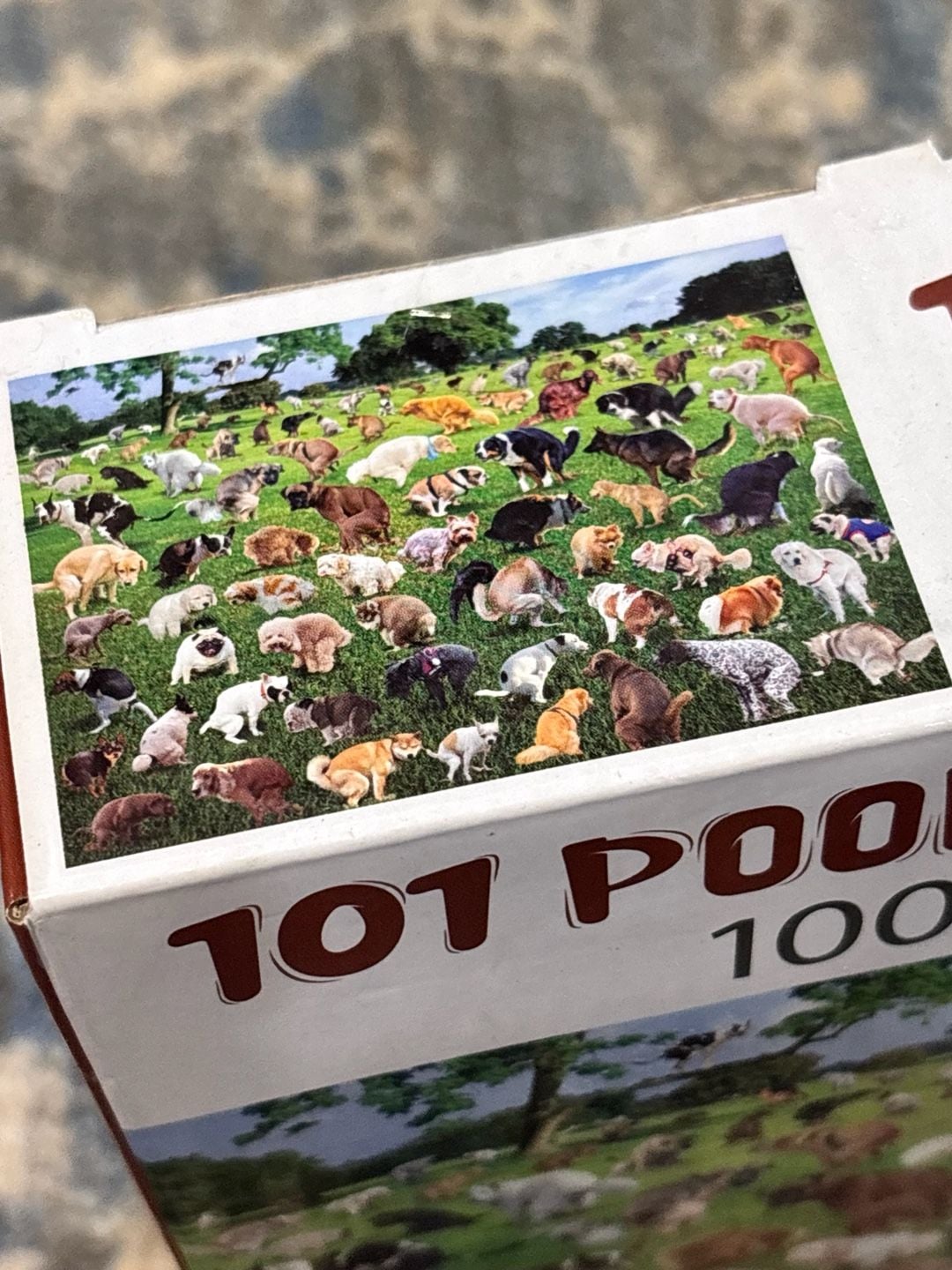 Funwares 101 Pooping Puppies 1000 Piece Jigsaw Puzzle 4