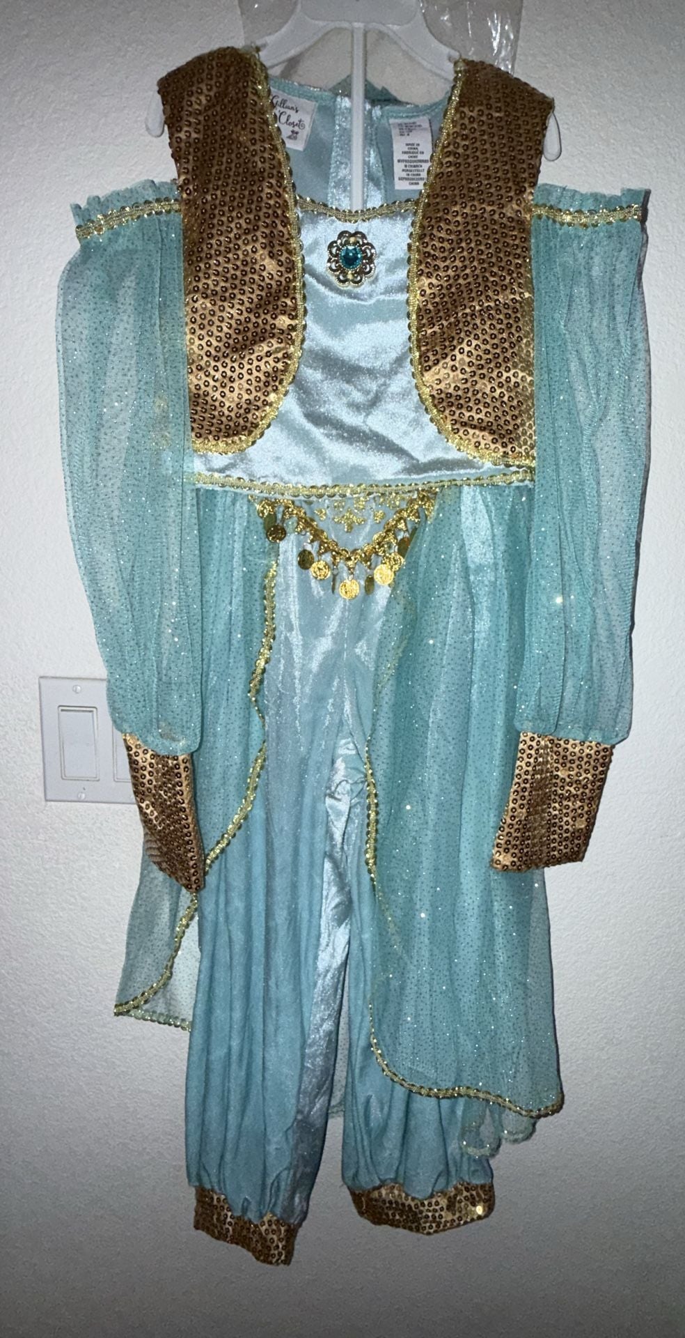 Gillian's Closet Arabian Princess Costume 1