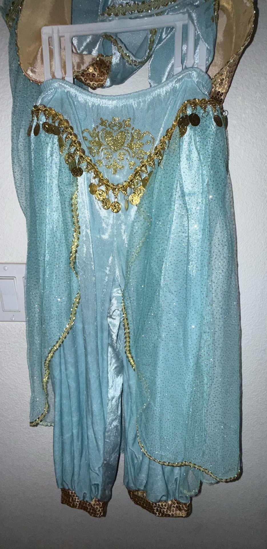 Gillian's Closet Arabian Princess Costume 2