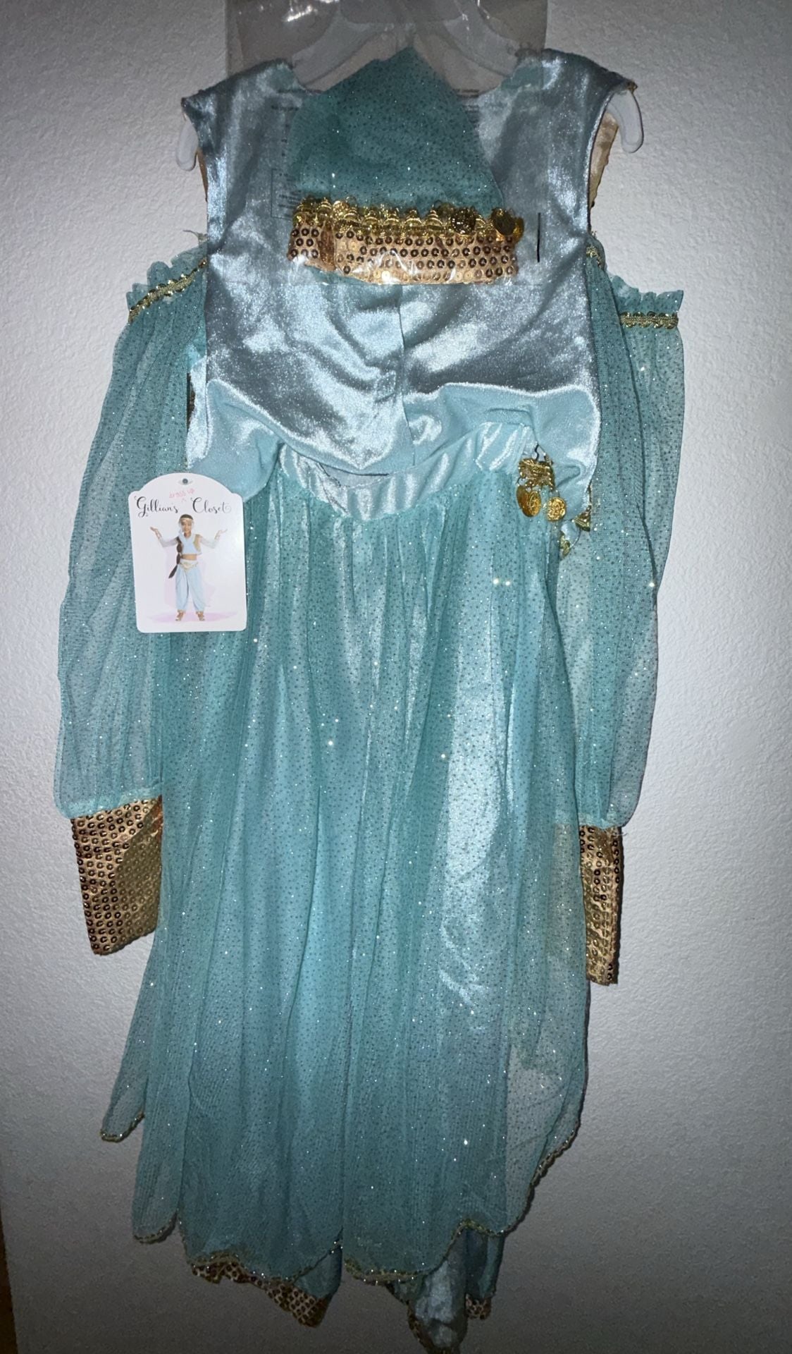 Gillian's Closet Arabian Princess Costume 5