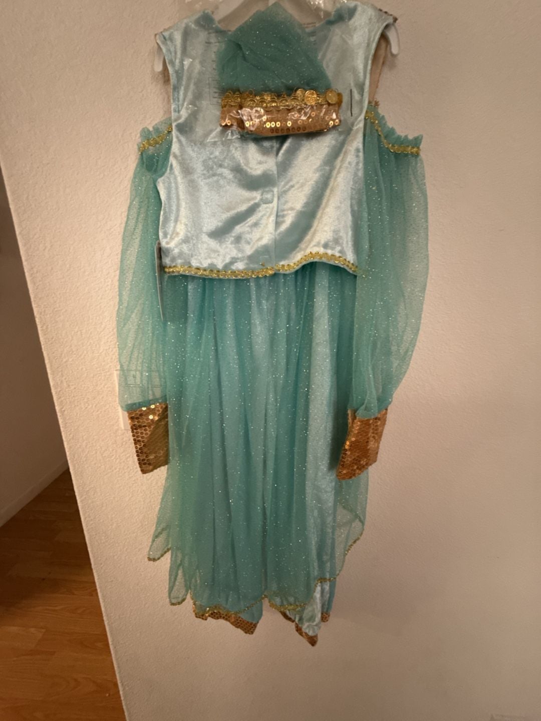 Gillian's Closet Arabian Princess Costume 6