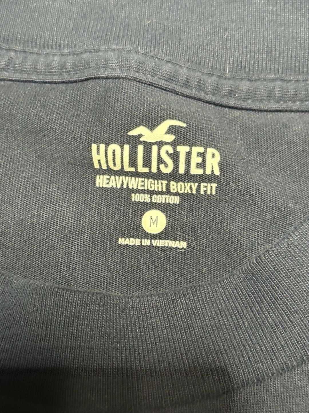 Hollister Palm Springs Desert Motel Graphic T-Shirt Size M Navy Heavyweight 4