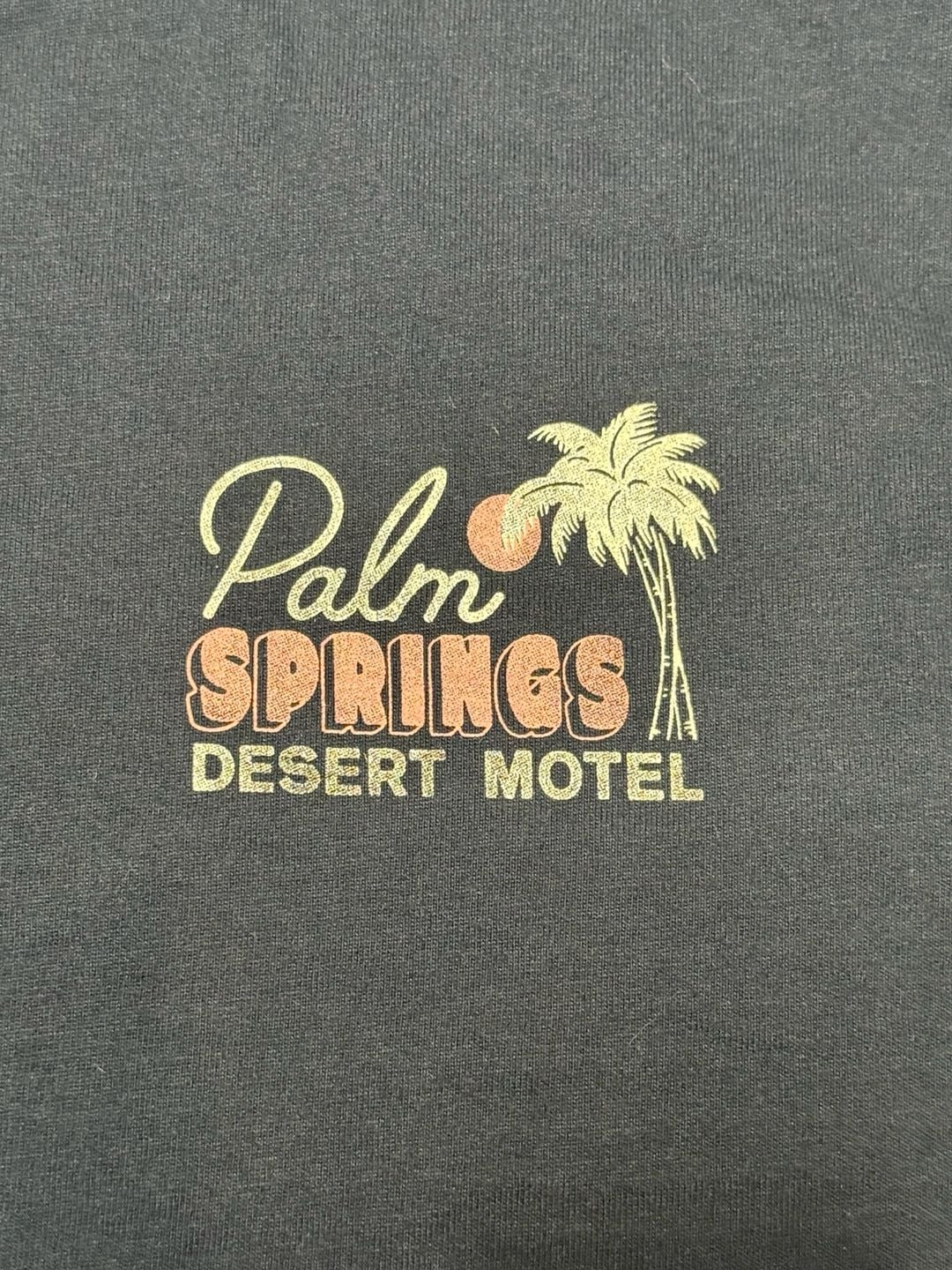 Hollister Palm Springs Desert Motel Graphic T-Shirt Size M Navy Heavyweight 5