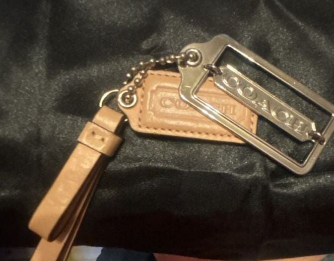 COACH Park Metro Dream Retro Mod Tote 2