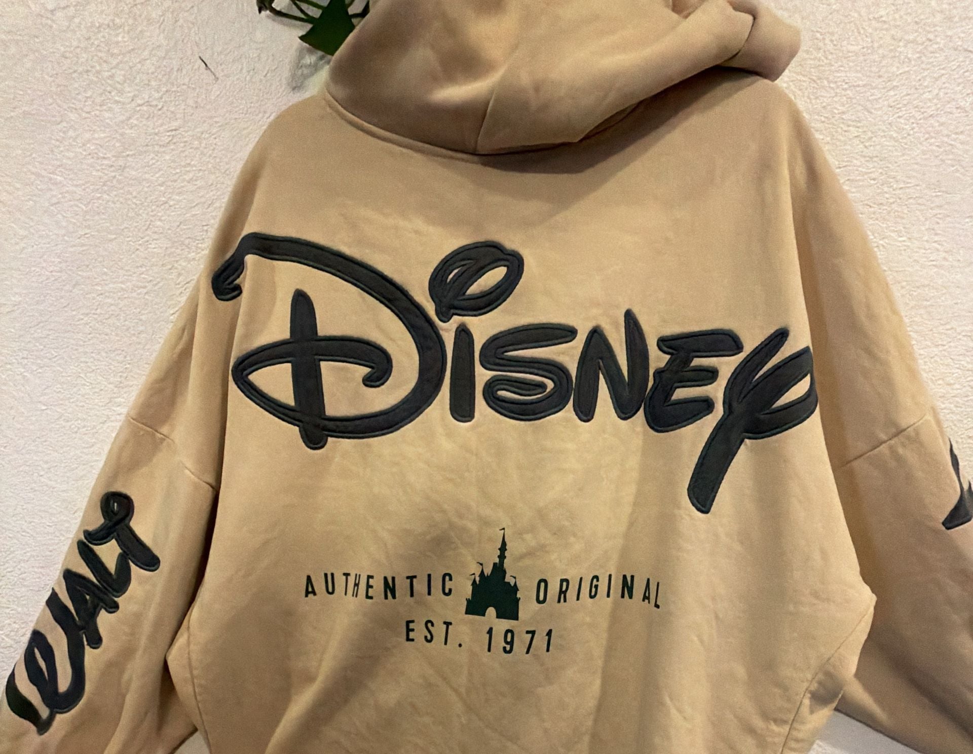 Disney Walt Disney World Zip Up Hoodie XL Tan 3