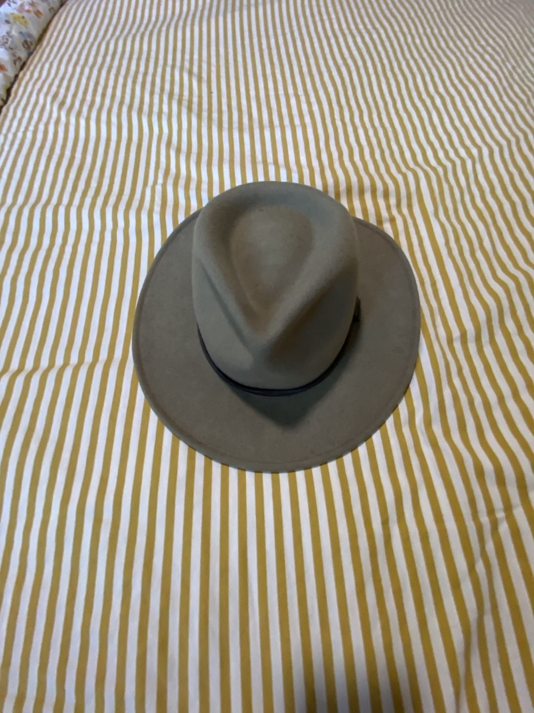 Pendleton Wool Felt Fedora Hat Size Large green Brown Leather Band 2