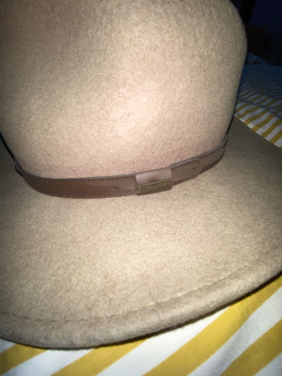 Pendleton Wool Felt Fedora Hat Size Large green Brown Leather Band 3