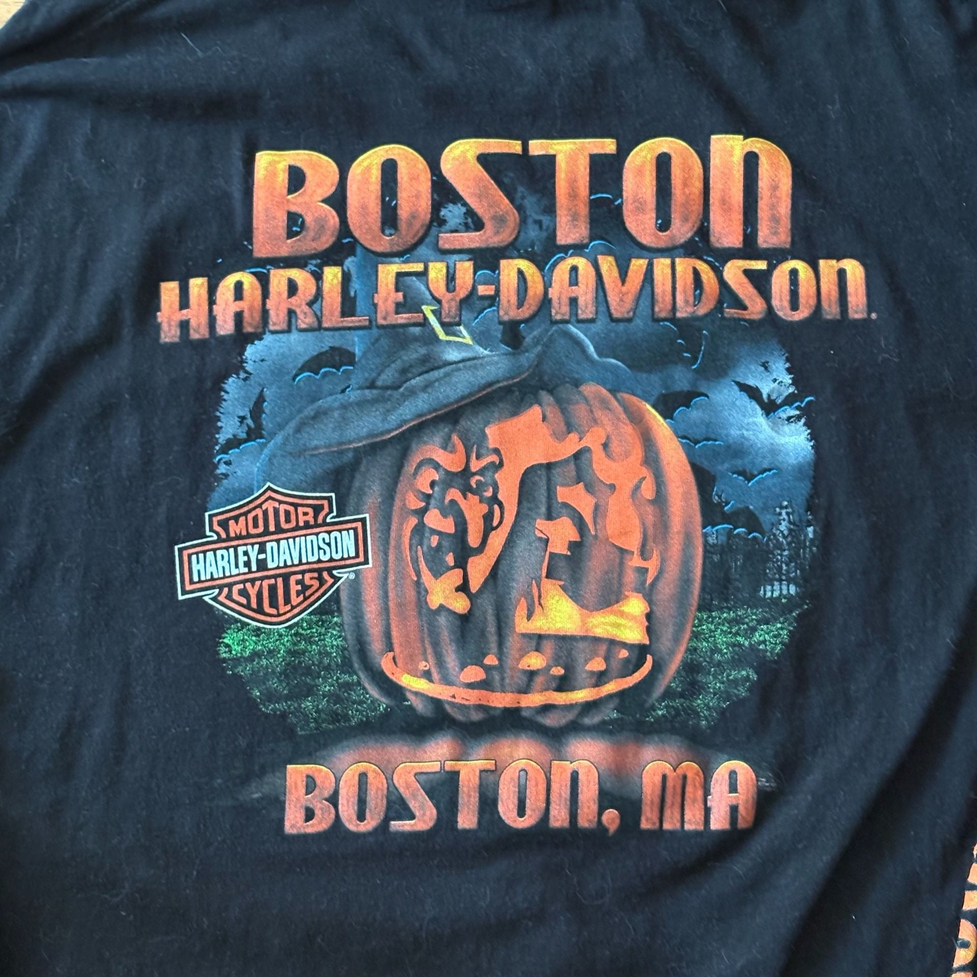Harley-Davidson Boston Long Sleeve T-Shirt Black 7