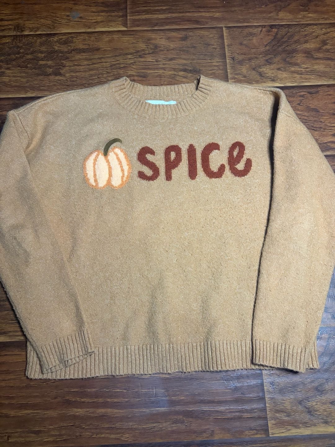 LOFT Pumpkin Spice Intarsia Crew Neck Sweater Size M Brown Fall 2