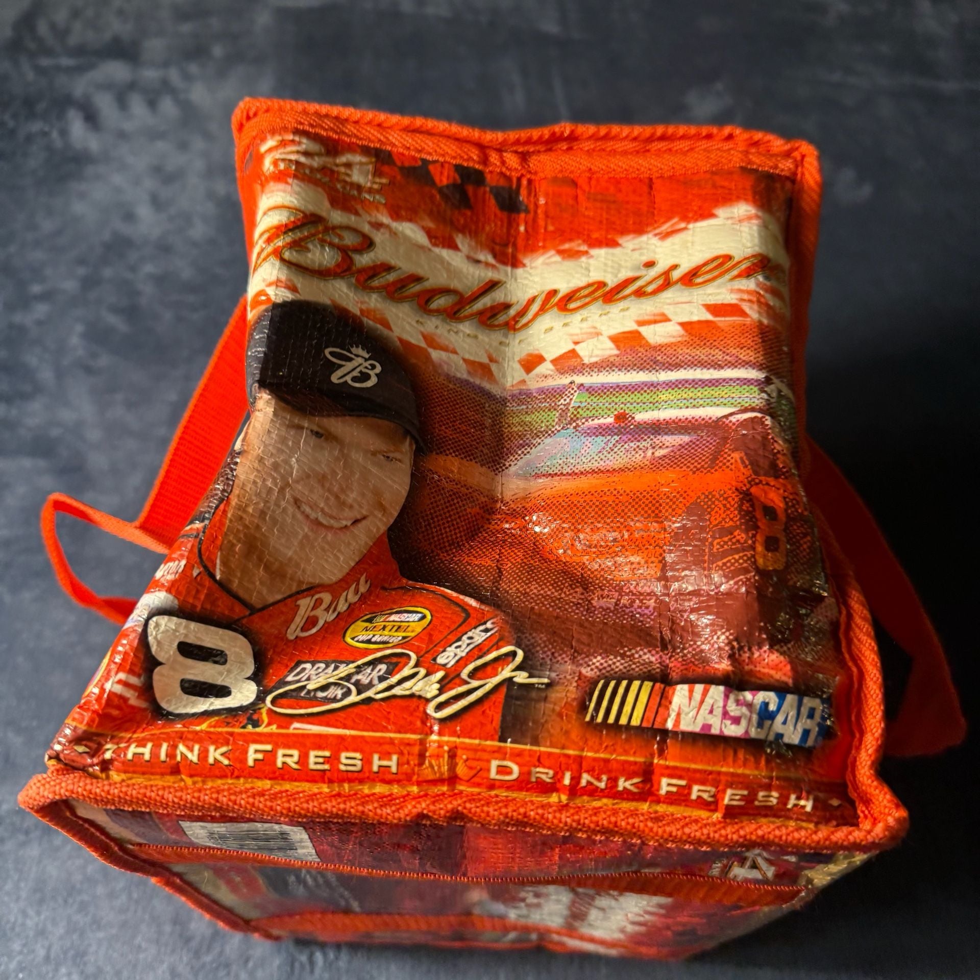 Budweiser Dale Earnhardt Jr Nascar Cooler Bag 3