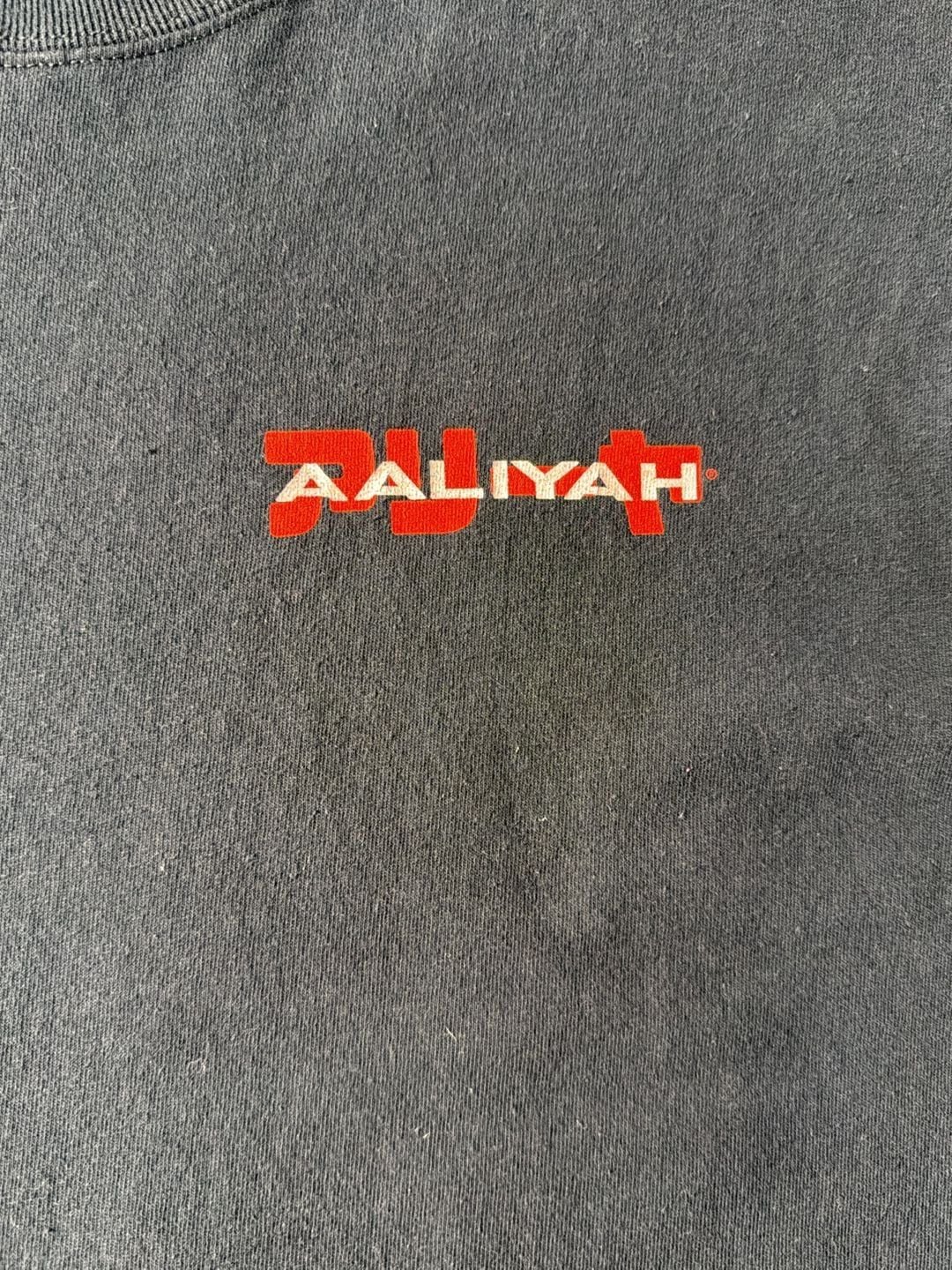 Aaliyah T-Shirt Ripple Junction Cartoon Style Sz Large 5