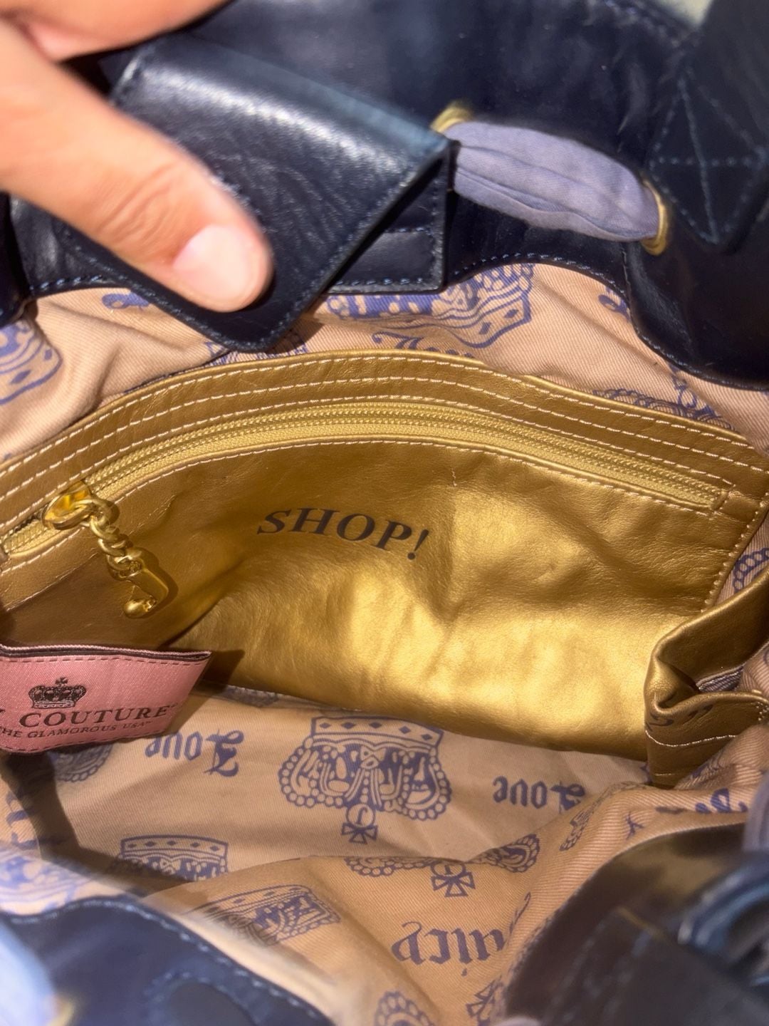 Juicy Couture Vintage Daydreamer Velour Bag 11
