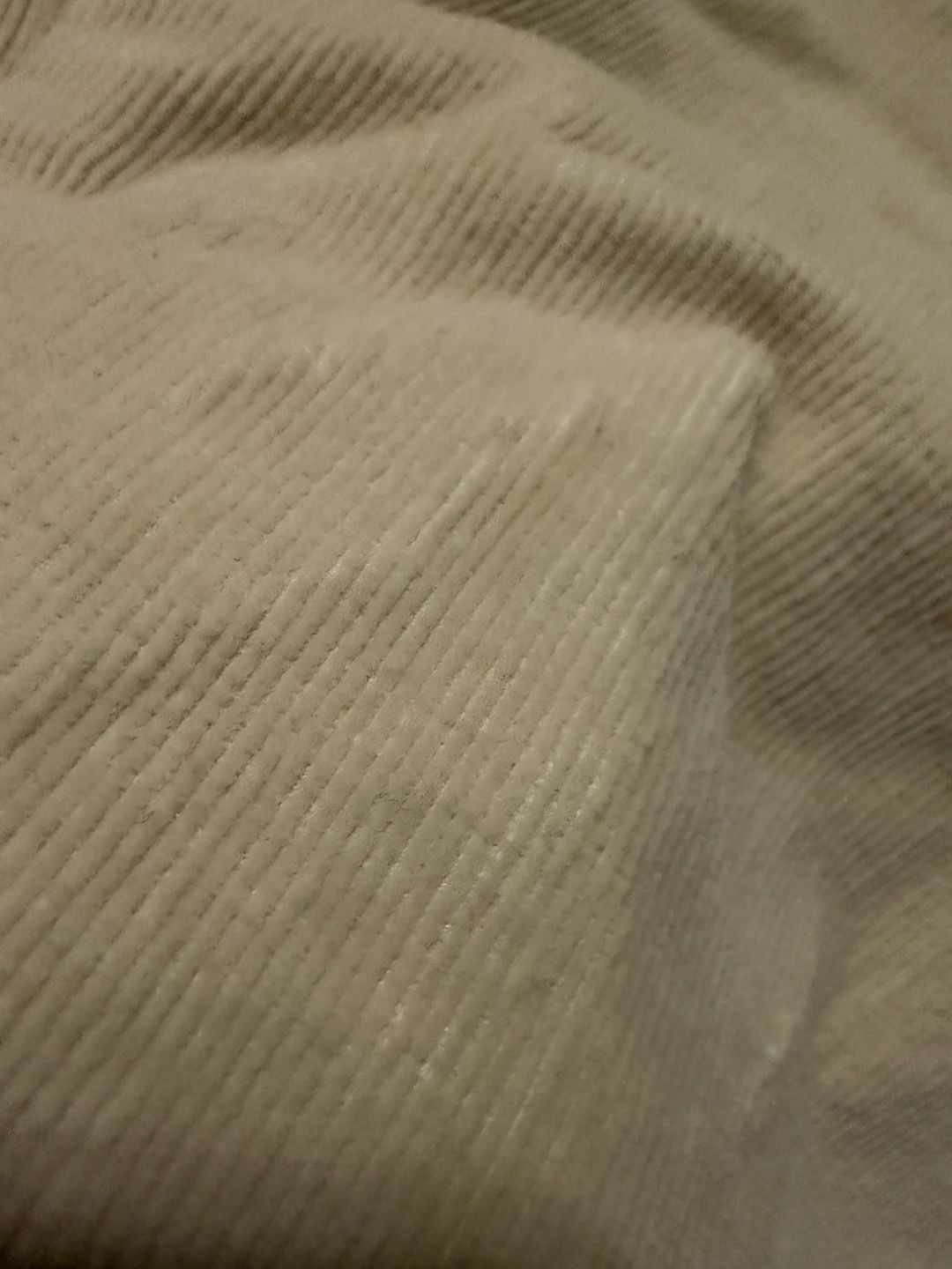 American Eagle Jegging Corduroy Size 0 Regular Off White 10