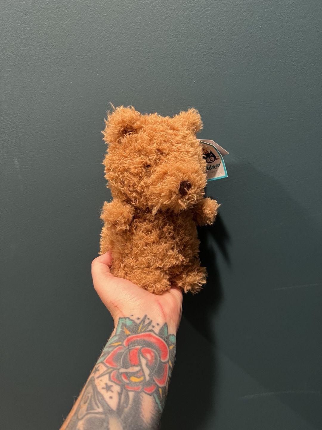 Jellycat Tum Tum Little Bear Plush Stuffed Animal Toy 1
