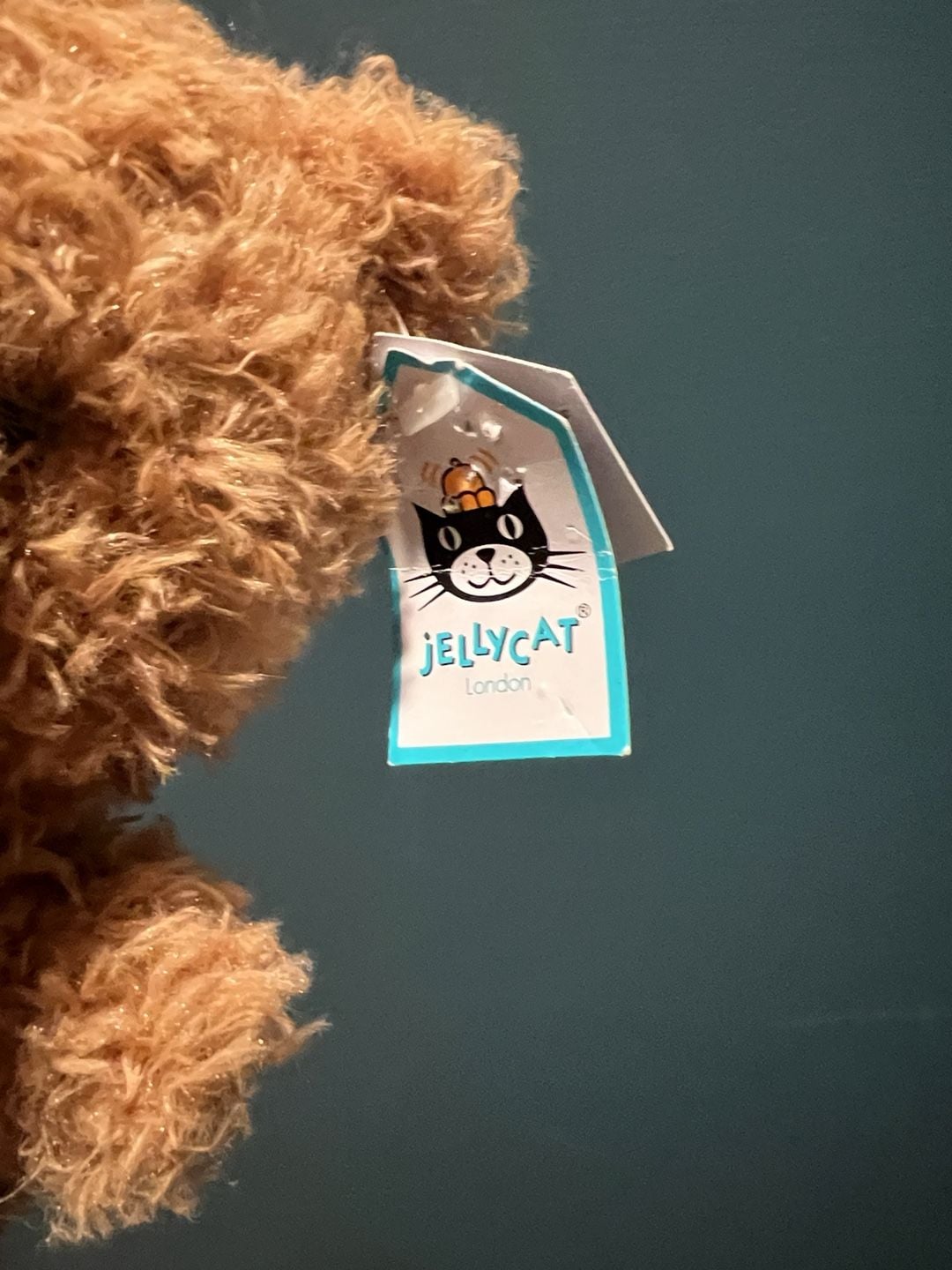 Jellycat Tum Tum Little Bear Plush Stuffed Animal Toy 2