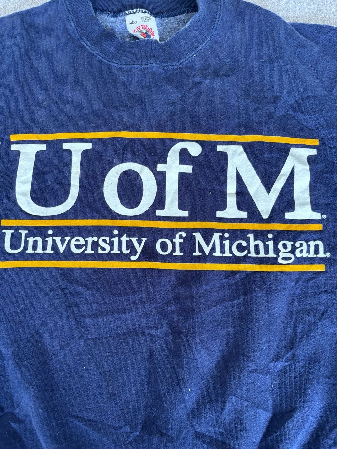 Fruit of the Loom University of Michigan Sweatshirt Size L Blue 3