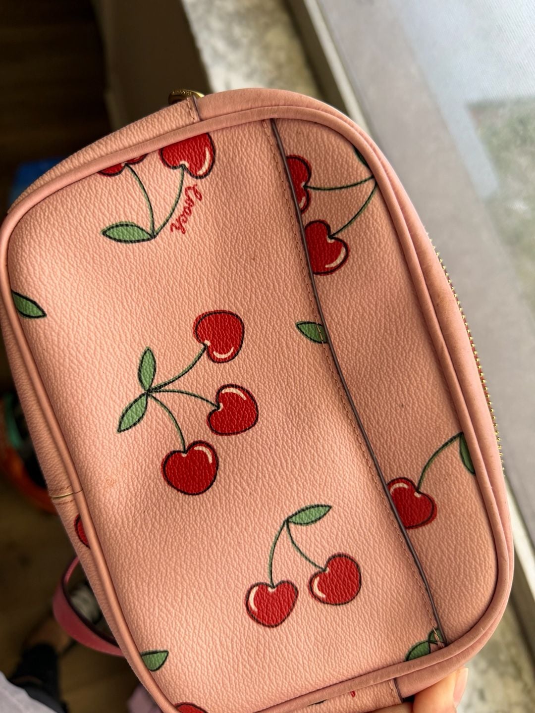 Coach Mini Jamie Camera Bag Heart Cherry Print Pink Leather 3