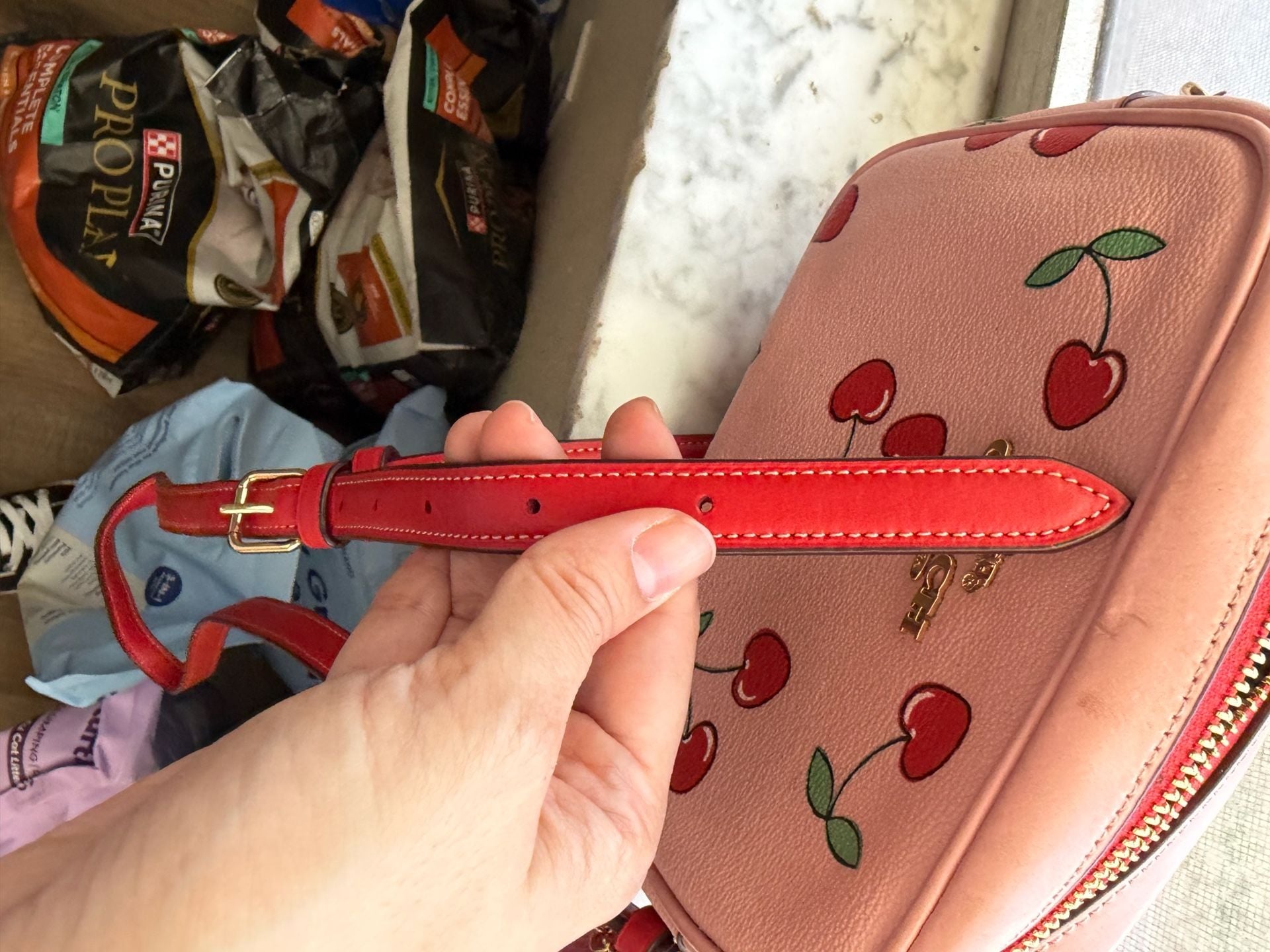 Coach Mini Jamie Camera Bag Heart Cherry Print Pink Leather 8
