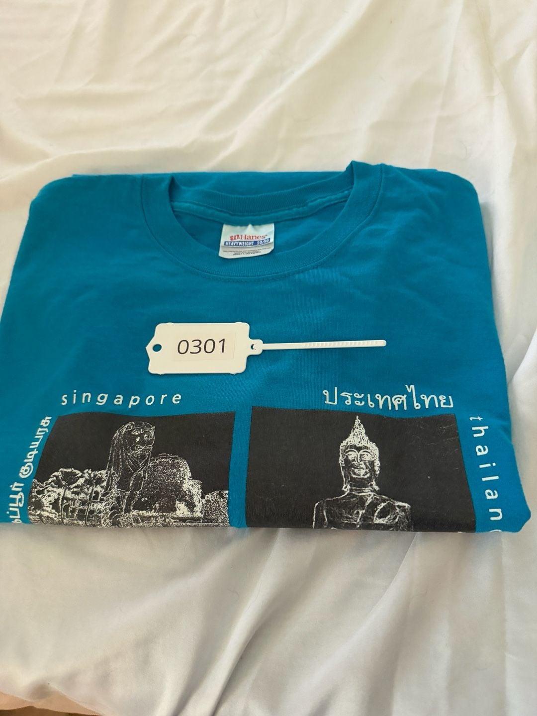 Asian Landmarks Graphic T-Shirt Blue 10