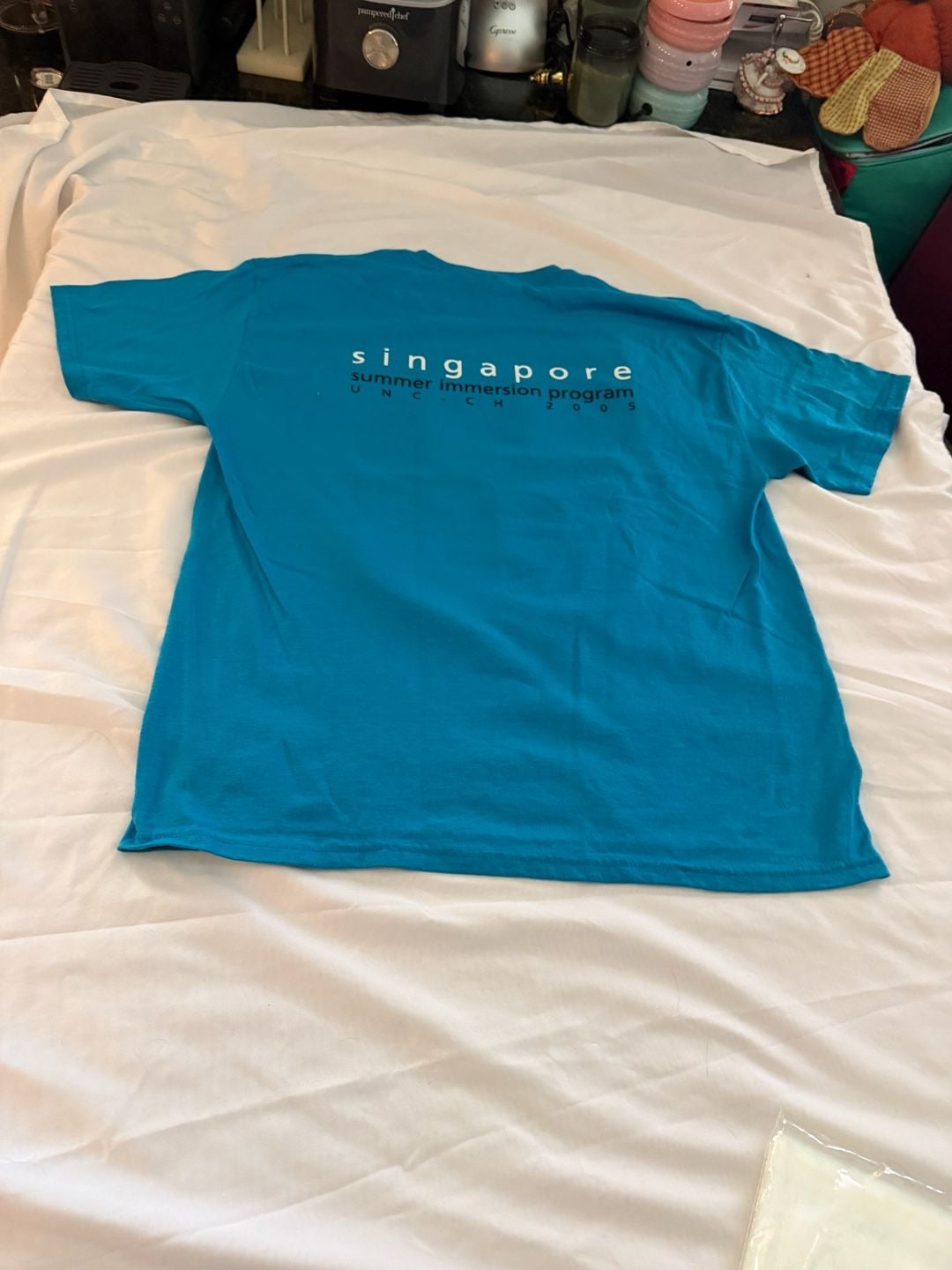 Asian Landmarks Graphic T-Shirt Blue 11