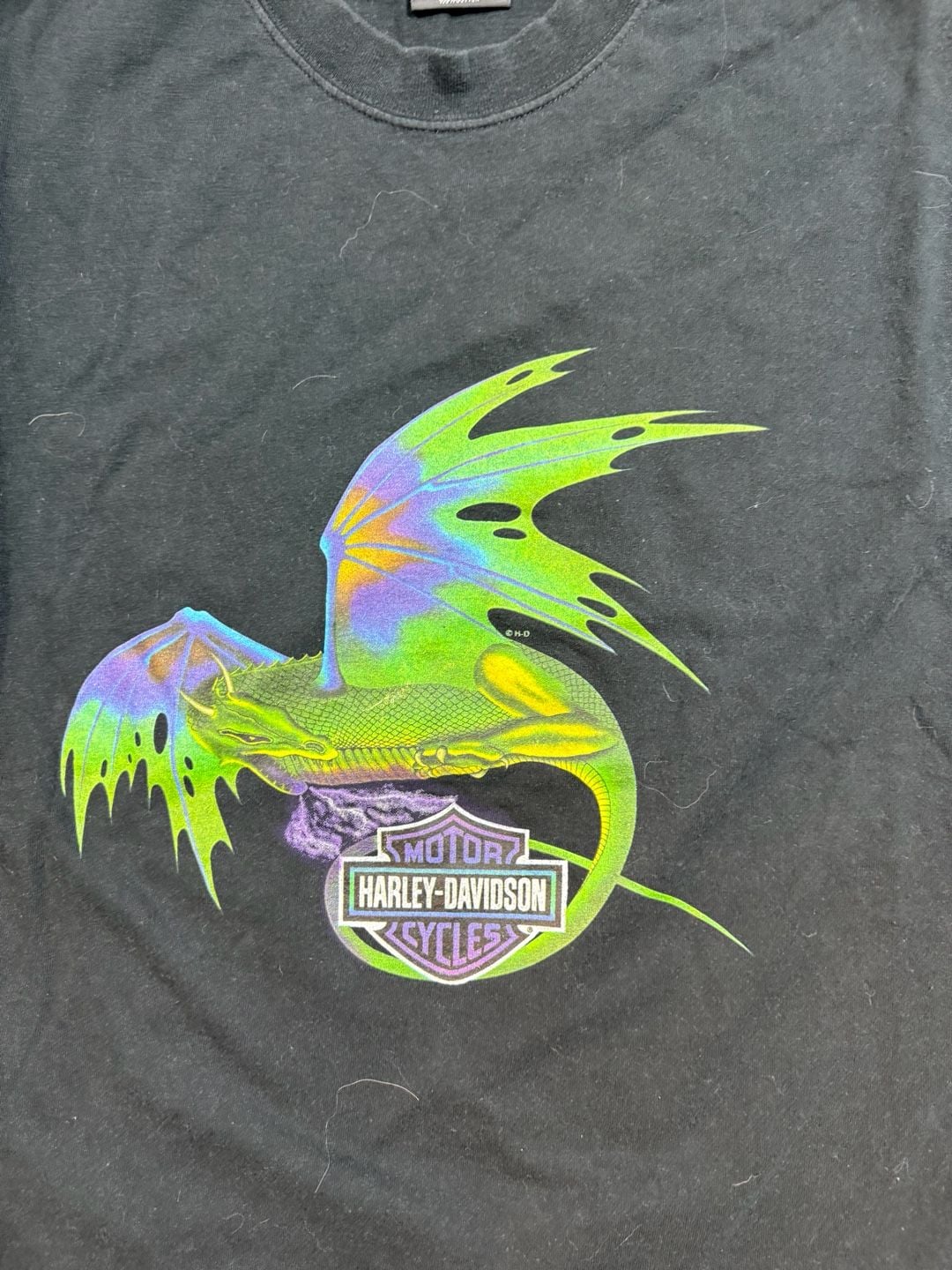 Harley-Davidson Dragon Cancun Long Sleeve Shirt 4