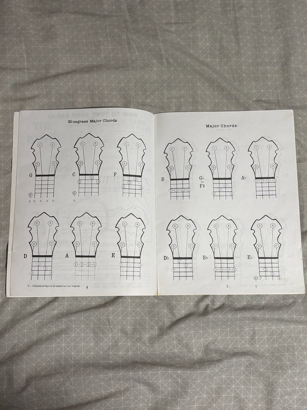 Joe Morrell Books Easy Beginner 5 String Banjo Chords Instruction Book 2
