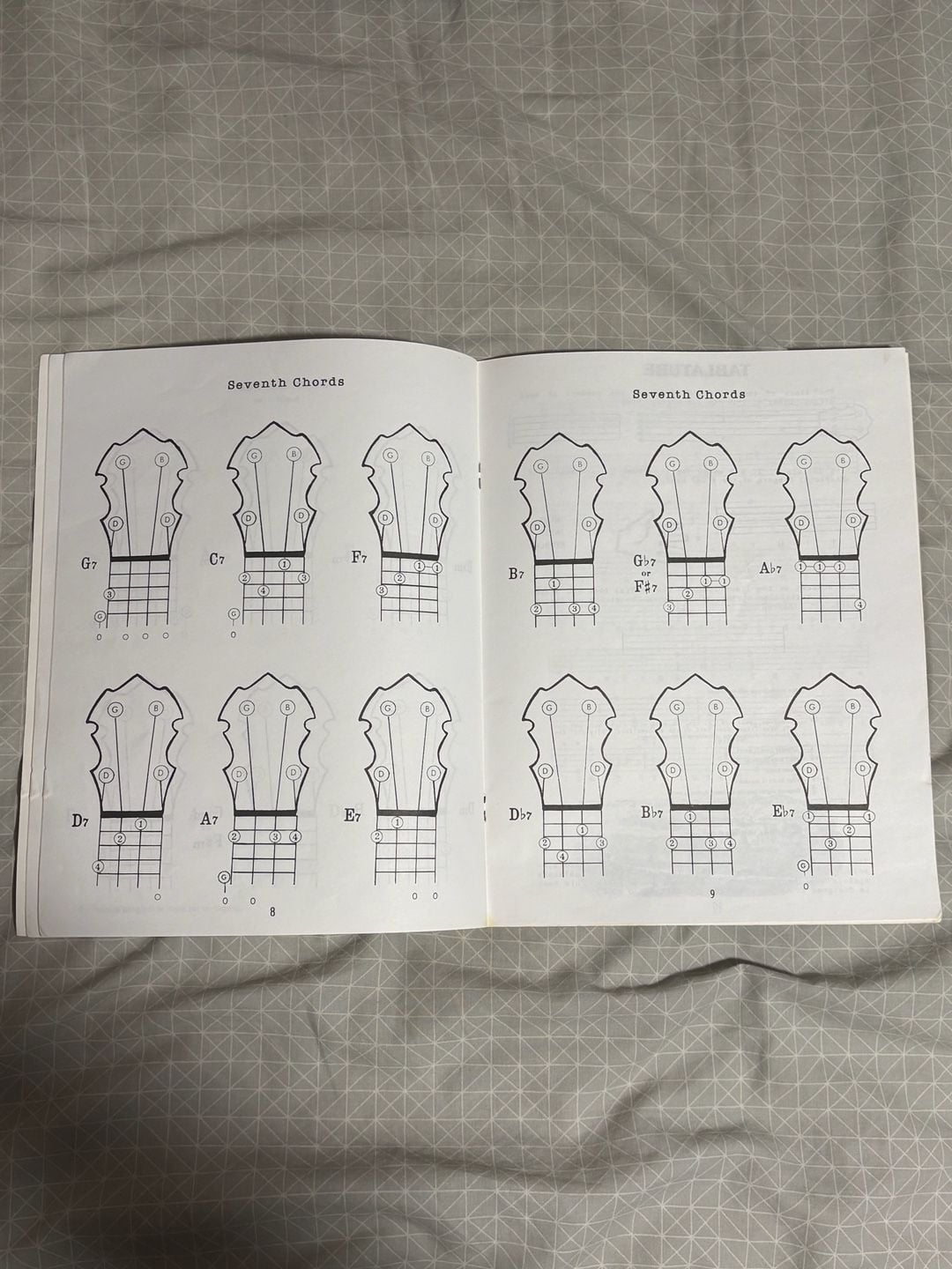 Joe Morrell Books Easy Beginner 5 String Banjo Chords Instruction Book 3