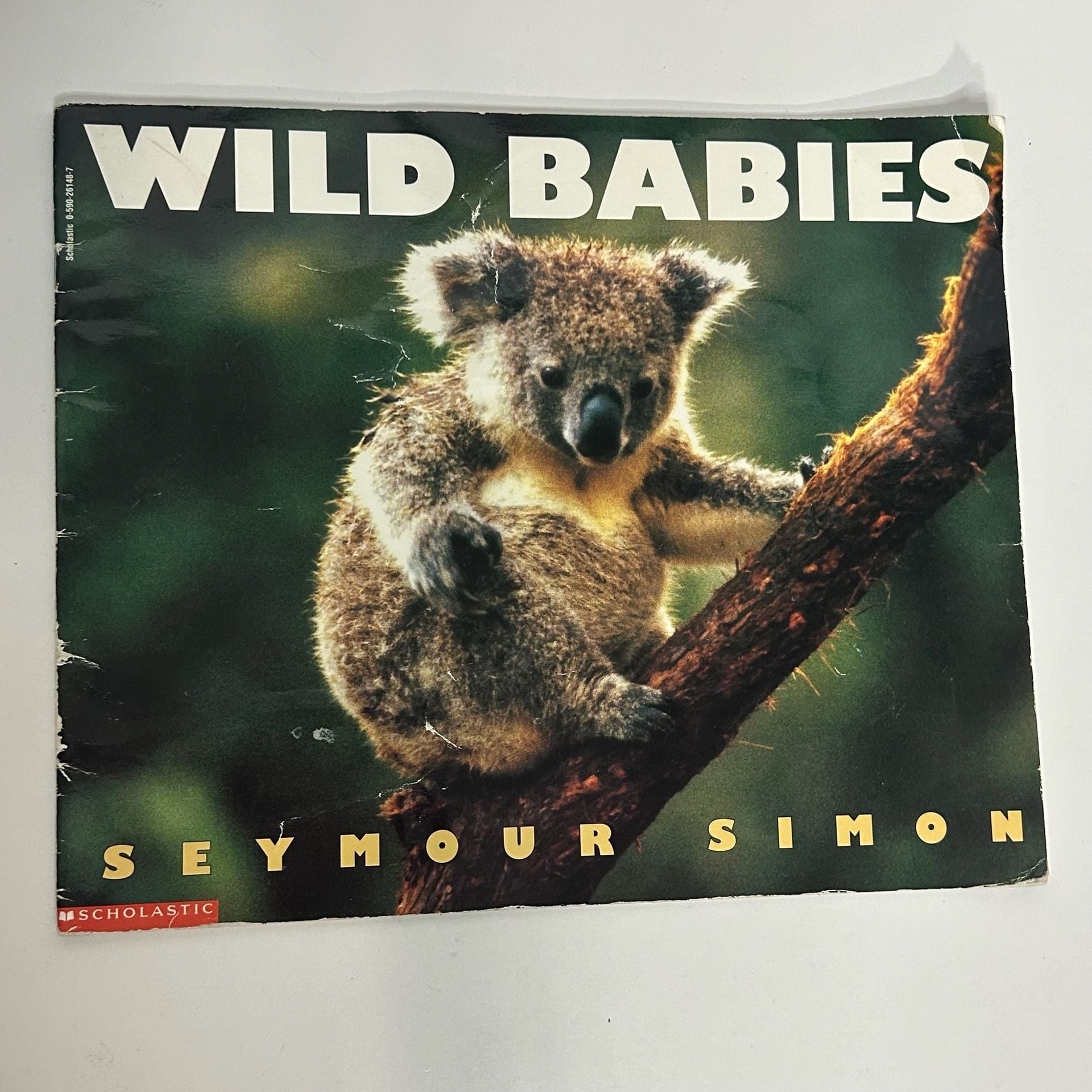 Lot of 11 Childrens Animal Picture Books 12