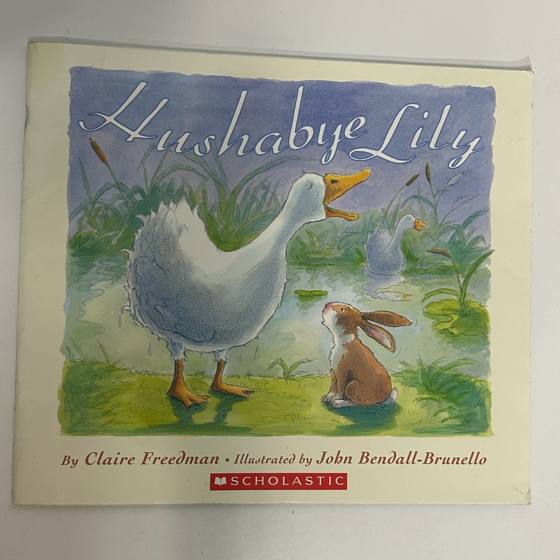 Lot of 11 Childrens Animal Picture Books 14